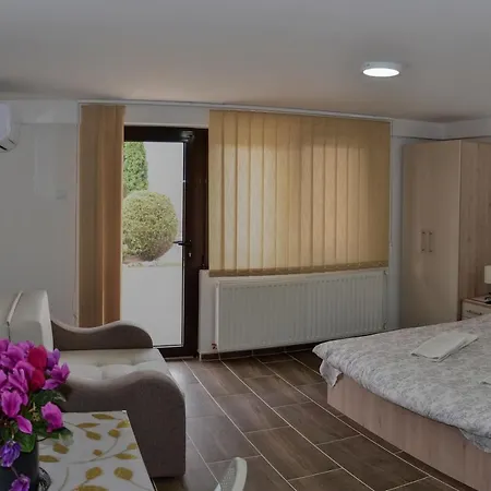 Janja Konukevi Soko Banja