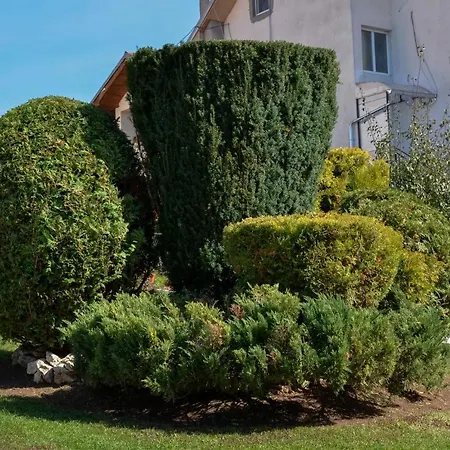 Janja Guest house