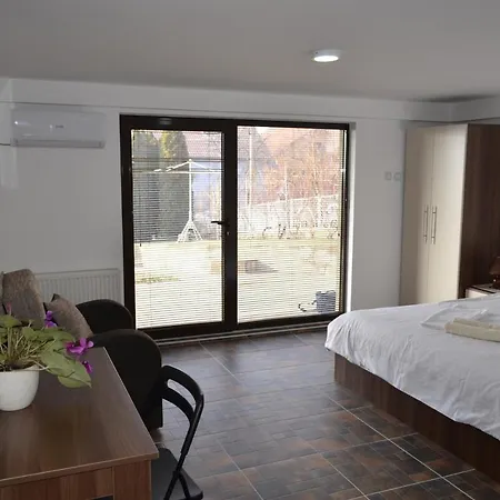 Janja Konukevi Soko Banja