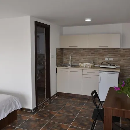 Janja Guest house Soko Banja